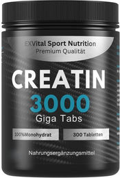 EXVital Creatin Monohydrat Tabletten vegan ohne Zusatzstoffe 300 Stück – Bild 1 von 4