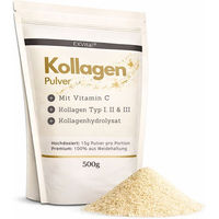 Produktbild von EXVital Kollagen Pulver mit Vitamin C aus Rind Typ I II III laktosefrei und glutenfrei 500 g