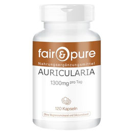 Fair & Pure Auricularia Judasohr 1300 mg Kapseln vegan ohne Zusatzstoffe 120 Stück – Bild 1 von 4