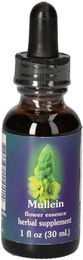FES Mullein Flower Essence Bio Tropfen – Bild 1 von 2