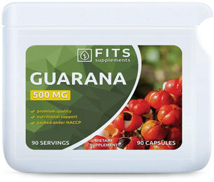 FITS Supplements Guarana Bio 500 mg Kapseln 90 Stück – Bild 1 von 1