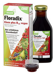 Floradix Eisen + B12 Tonikum Flüssig 250 ml – Bild 1 von 1
