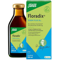 Produktbild von Floradix Eisen plus B12 vegan Tonikum Flüssig 250 ml