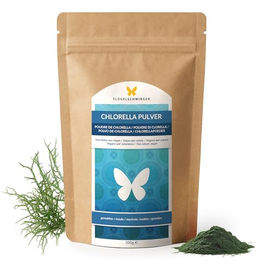 FLÜGELSCHWINGER Chlorella Pulver 500g vegan und vegetarisch – Bild 1 von 4