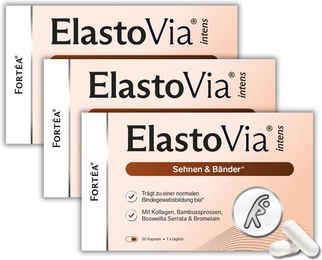 FORTEA ElastoVia intens Sehnen und Bänder – Bild 1 von 1