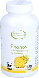 G & M Naturwaren Bromelain Ananas Enzyme Kapseln 120 Stück – Bild 1 von 1