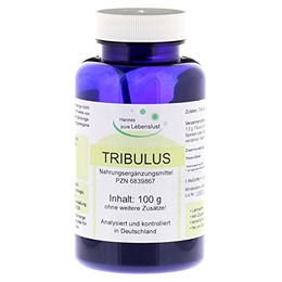 G & M Naturwaren Tribulus terrestris Pulver 100 g – Bild 1 von 1