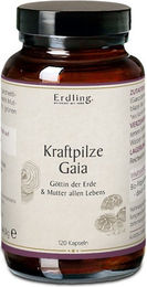 Gaia Erdling Kraftpilze Vitalpilz Synergetikum Kräuter-Komplex Bio Vegan Kapseln 120 Stück – Bild 1 von 1