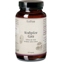 Produktbild von Gaia Erdling Kraftpilze Vitalpilz Synergetikum Kräuter-Komplex Bio Vegan Kapseln 120 Stück