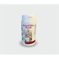 Produktbild von GALATEA PLUS Kapseln pflanzlicher Ursprung 100 Stück