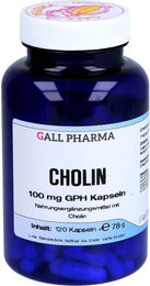 GALL PHARMA Cholin 100 mg Kapseln für Erwachsene 120 Stück – Bild 1 von 2
