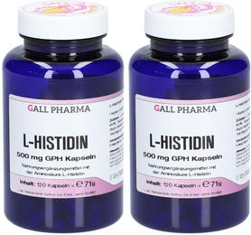 GALL PHARMA L-Histidin 500 mg Kapseln 120 Stück – Bild 1 von 1