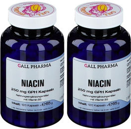 GALL PHARMA Niacin 250 mg Kapseln 120 Stück – Bild 1 von 1