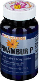 GALL PHARMA Topinambur P Inulin 400 mg Kapseln 60 Stück – Bild 1 von 2