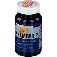 Produktbild von GALL PHARMA Topinambur P Inulin 400 mg Kapseln 60 Stück