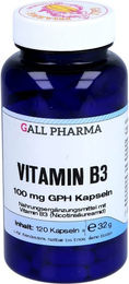 GALL PHARMA Vitamin B3 Niacin 100 mg Kapseln ohne Zusatzstoffe 120 Stück – Bild 1 von 2