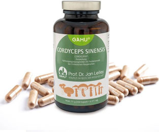 Gamu Cordyceps Sinensis Extrakt Chinesischer Raupenpilz Pulver Vegan Glutenfrei Laktosefrei 300 g – Bild 1 von 1
