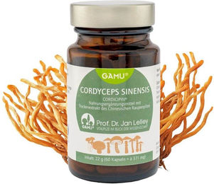 Gamu Cordyceps sinensis Extrakt Chinesischer Raupenpilz Pulver vegan glutenfrei laktosefrei 60 g – Bild 1 von 1