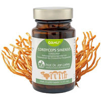 Produktbild von Gamu Cordyceps sinensis Extrakt Chinesischer Raupenpilz Pulver vegan glutenfrei laktosefrei 60 g