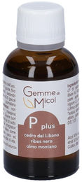GEMME DI MICOL P PLUS Sitar vegan und glutenfrei 30 ml – Bild 1 von 1