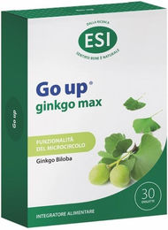 Go Up Ginkgo Max – Hochdosierter Ginkgo-biloba-Extrakt 240 mg Tabletten, vegan, glutenfrei und alkoholfrei – Bild 1 von 1