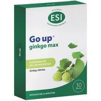 Produktbild von Go Up Ginkgo Max – Hochdosierter Ginkgo-biloba-Extrakt 240 mg Tabletten, vegan, glutenfrei und alkoholfrei