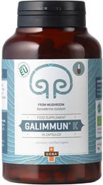 Goba BIO Galimmun K Reishi Kapseln – Bild 1 von 1