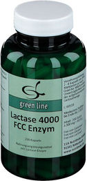green line NUTRITHEKE Lactase 4000 FCC Enzym Kapseln 200 Stück glutenfrei ohne Gelatine – Bild 1 von 2
