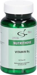 green line NUTRITHEKE Vitamin B7 Pantothensäure Kapseln 120 Stück glutenfrei laktosefrei ohne Gelatine – Bild 1 von 2