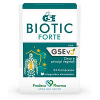 Produktbild von GSE Biotic Forte Tabletten 24 Stück