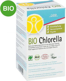 GSE Chlorella Bio Tabletten 500 mg 120 Stück – Bild 1 von 1