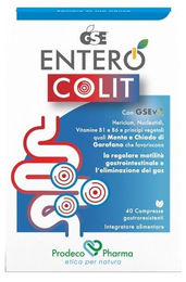 GSE ENTERO COLIT Tabletten 40 Stück – Bild 1 von 1