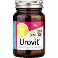 Produktbild von GSE Urovit Cranberry Pulver Kapseln vegan glutenfrei laktosefrei 40 Stück
