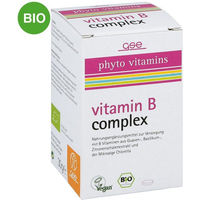 Produktbild von GSE Vitamin B Complex Bio Tabletten 60 Stück