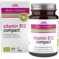 Produktbild von GSE Vitamin B12 Compact Bio Kapseln 120 Stück