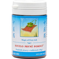 Produktbild von GUI ZHI WAN TCM Herbs Tabletten 100 Stück