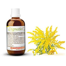 Gutsmiedl Blasenkraft Lösung 100 ml – Bild 1 von 2