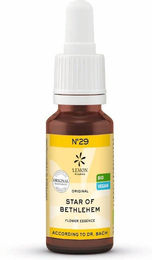 Hager Pharma Bachblüten No. 29 Star of Bethlehem Bio Tropfen – Bild 1 von 2