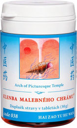 HAI ZAO YU HU WAN TCM Herbs Tabletten 100 Stück – Bild 1 von 1