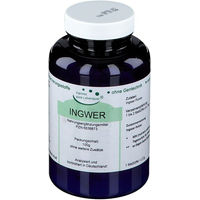 Produktbild von Hannes pure Lebenslust Ingwer Pulver 100 g
