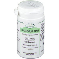 Produktbild von Hannes pure Lebenslust PANGAM B15 Kapseln vegan glutenfrei laktosefrei ohne Zusatzstoffe 60 Stück