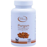 Produktbild von Hannes pure Lebenslust PANGAM B15 Vegan Kapseln 180 Stück glutenfrei und laktosefrei