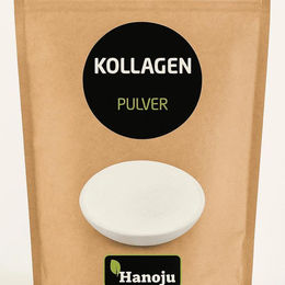 Hanoju Fisch Kollagen Pulver 100% Hydrolysiert mit Kollagen Peptiden 250 g – Bild 1 von 2
