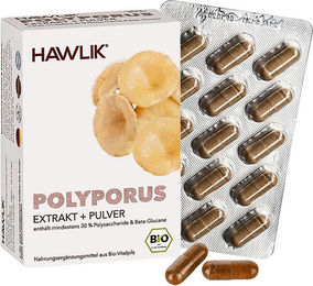 Hawlik Bio Polyporus Extrakt Kapseln 120 Stück – Bild 1 von 1