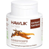 Produktbild von Hawlik Cordyceps Extrakt Kapseln 240 Stück