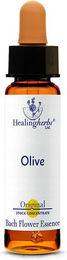 Healing Herbs Olive Tropfen – Bild 1 von 1