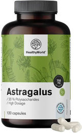 HealthyWorld Astragalus Extrakt Kapseln 90 mg – Bild 1 von 1