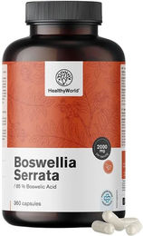 HealthyWorld Weihrauch Boswellia serrata Kapseln vegan 360 Stück – Bild 1 von 1
