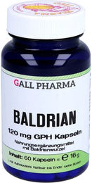 Hecht Pharma Baldrian 120 mg Kapseln ohne Zusatzstoffe 60 Stück – Bild 1 von 3