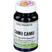 Produktbild von HECHT Pharma Camu Camu 500 mg Kapseln glutenfrei laktosefrei ohne Zusatzstoffe